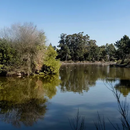 Accommodatie bij particulieren The Sea House