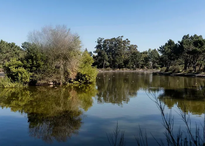 Kwatera prywatna The Sea House