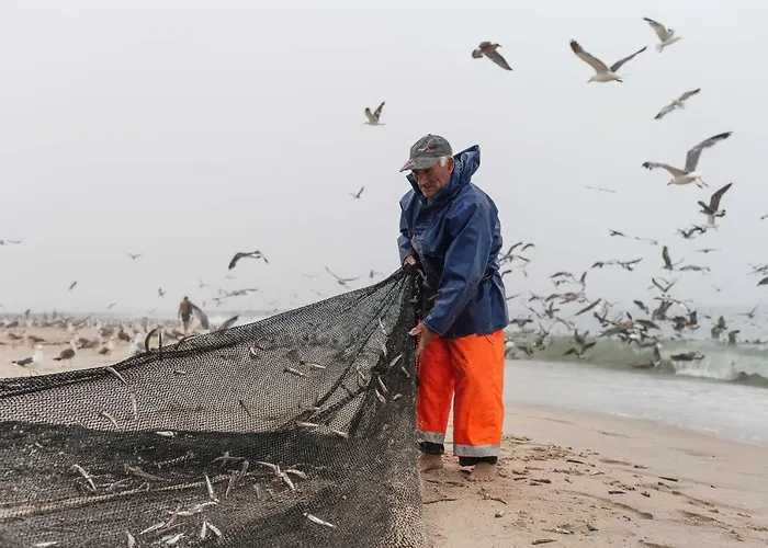 The Sea House Cortegaça
